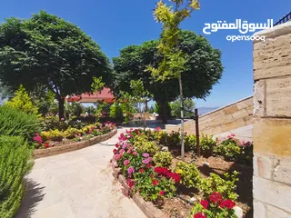  7 مزرعة مع فيلا ومسبح باطلالة بانوراما في عمان شارع الاردن