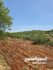  9 مزرعه 2 دونم مزروعه موقع مميز جدا  من مالك مباشر