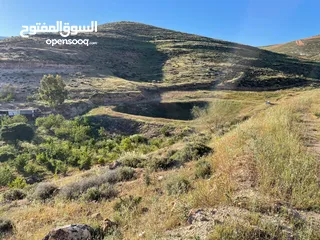  3 قطعة أرض زراعية مخدومة للبيع في السلط تصلح للمشاريع الاستثمارية