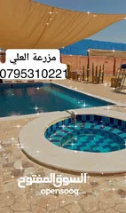  1 مزرعة و شالية للبيع