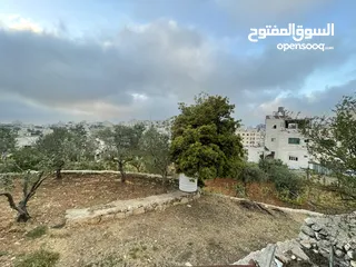  5 أرض مميزة للبيع في أبو كتيلة جاهزة للاستثمار