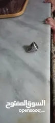  2 خاتم فضه للبيع
