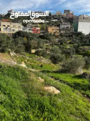  18 أرض للبيع بإطلالة غربية واصل جميع الخدمات