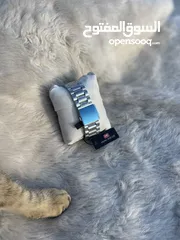  2 ساعه ميني فوكس اصليه للبيع بسعر مميز
