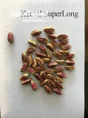  12 Pistachio trading house to sell the best quality