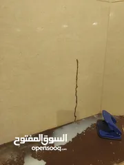  16 مكافحة جميع أنواع الحشرات بمكه تنظيف الكنب والسجاد والستائر بالبخار  تنظيف وتعقيم الخزانات
