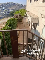  5 شقه للايجار