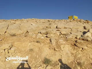  7 ارض للبيع في شارع المية