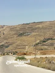  1 أرض للبيع  الكمشه