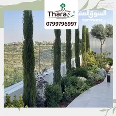  11 تصميم و تنسيق و صيانة الحدائق و شبكات الري