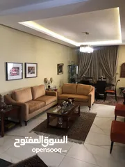  15 شقة مفروشة سوبر ديلوكس اعلان رقم (T206)