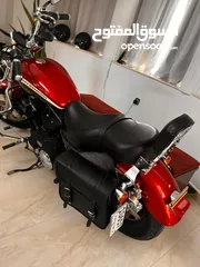 1 Harley Davidson Sportster 1200Xl