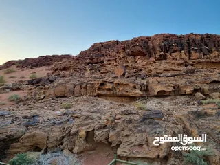  6 تصوير فيديو و فوتوغراف - عروض الصيف