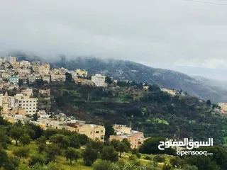  14 مطلوب شريك مشارع صغيره تقسيم اراضي وبيعها  مناطق غرب عمان السلط مادبا لاستثمار