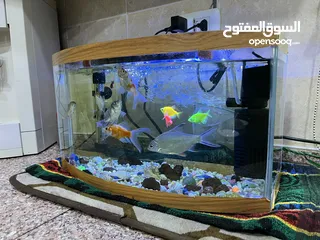  2 حوض سمك حجم كبير للبيع