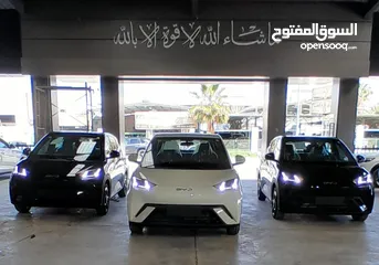  1 بي واي دي سيجال 2024 عداد زيرو كفاله 6 سنوات  BYD Seagull 2024  zero