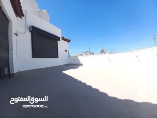  14 شقة مفروشة مع روف للإيجار في الشميساني  ( Property 34510 )-174859260