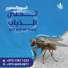  12 IPC Is Providing 24/7 Pest Control Service in Bahrain - Contact Now!