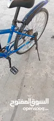  3 بسكليت ياباني