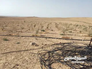  17 عشره دنمات للبيع