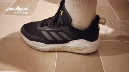 5 Adidas team bounce +nike react +puma ferrari neuf