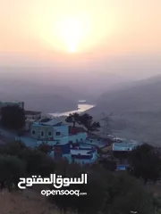  1 10 دنمات بأجمل اطلالة خلابة على سد الملك طلال