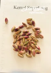 7 Pistachio trading house to sell the best quality