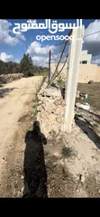  3 ارض تصنيف بي