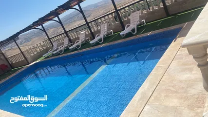  9 مزرعة ابو احمد البلوطي