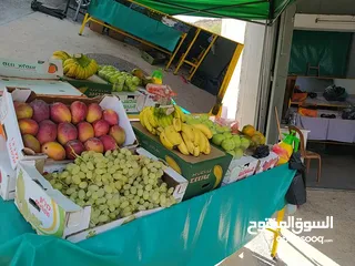  6 استاندات  اللخضرة