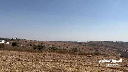  7 قطعة ارض زراعية مرتفعة خلف جامعة عجلون الوطنية ، بافضل اطلاله في عجلون - من المالك وبسعر مغري