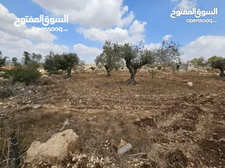  5 فرصة استثمارية لا تعوض . ارض مميزة للبيع في بيت قاد