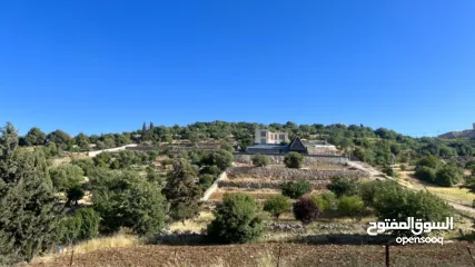  7 ارض للبيع في الأردن - عجلون