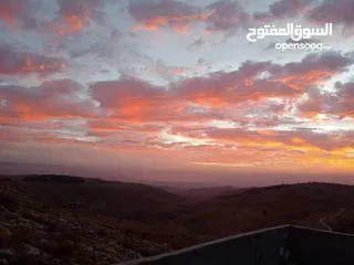  23 مزرعة للبيع في يرقا-السلط، إسكان المهندسين