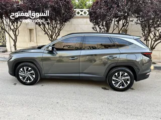  6 توسان هايبرد بلورررقه بمشي 25/لتر غرفه براون
