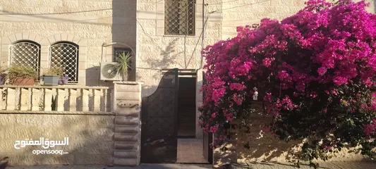  4 ؛شقه مستقله للاجار الزرقا الجديده شارع الفلاتر شارع البتراوي خلف مسجد عمر بن العاص