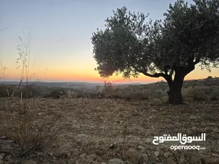 1 ارض قمه جبل اطلاله مميزه 500 متر