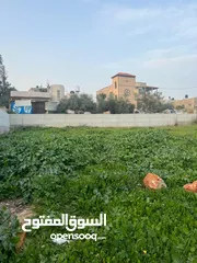  3 ارض للبيع والسكن