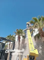  2 العناية بأشجار النخيل و الأشجار الحرجية و نباتات الزينة