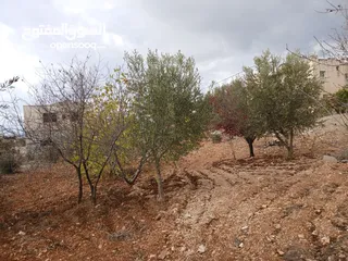  1 ارض للبيع في منطقه بيرزيت المساحه 12دونم