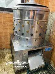  4 نتافه دجاج