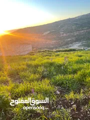  6 3.400 ماحص بعد الميده