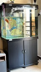  1 Fish Tank 70x80