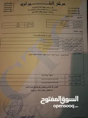  13 فان مرسيدس سيتان اتوماتيك 2019 سعر حرق