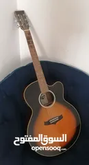  1 Acoustic Guitar