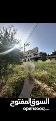  3 قطعة ارض سكنية مطلة في بدر