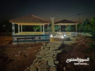  17 مزرعة مميزة ناعور المشقر