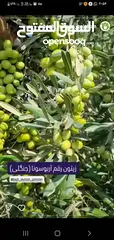  1 بائع مواد غذائی