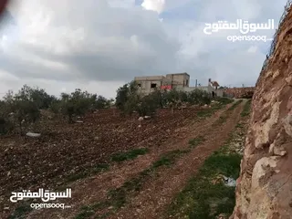  4 قطعة ارض مع بيت للبيع