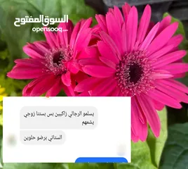  19 عطور أوزاريج الإماراتية الأصلية للرجال والنساء ..
